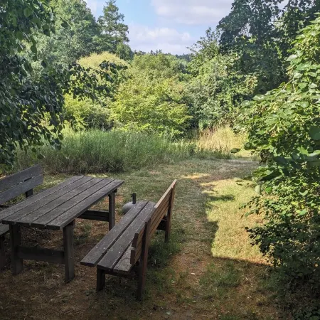Quietly located holiday home with a natural garden, 500m from the lake and the forest