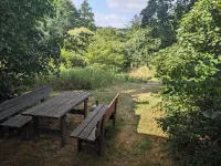 Quietly located holiday home with a natural garden, 500m from the lake and the forest - Homestays