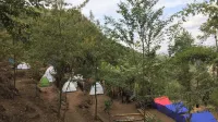 JustGoCamping - breakfast