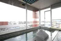 Nagano Daiichi Hotel - Hot Springs