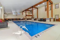 Wyndham Garden Madison Fitchburg - Pool