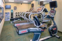 SpringHill Suites Prince Frederick - Gym