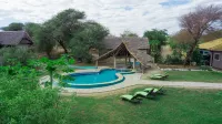 Roika Tarangire Tented Lodge - Pools