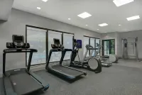 Hampton Inn Nashville/Gallatin - Træningscentre