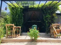 Urban Bacalar Hotel - Wifi