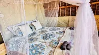 Soul Nest Camp - balcony