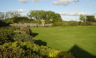 Springlawn