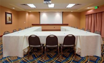 a conference room with a white table and chairs , a projector screen , and blue and white patterned carpet at Homewood Suites by Hilton Minneapolis-New Brighton