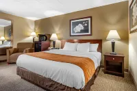 Comfort Inn Northeast Hotels near Traci's Sports Lounge