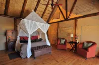 Bush Lodge- Amakhala Game Reserve Hotels near Shamwari Private Game Reserve in the Eastern Cape