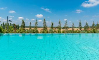 Wonderful Family Suite in Tuscany Near Pisa and Florence - Two Bedrooms 4 pl