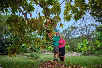 Cape Trib Farm Hotels near Daintree Discovery Centre