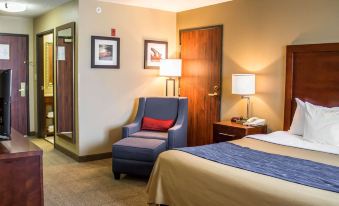 Comfort Inn & Suites Fremont - Housity