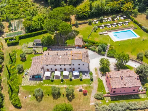 Francigena