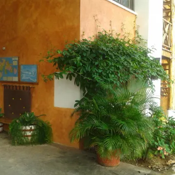 Hotel Residencia del Paseo