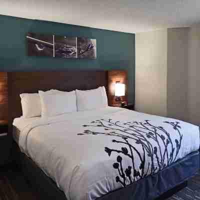 Sleep Inn & Suites Rooms