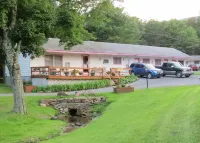 Four Seasons Motel Отели в г. Катскилл