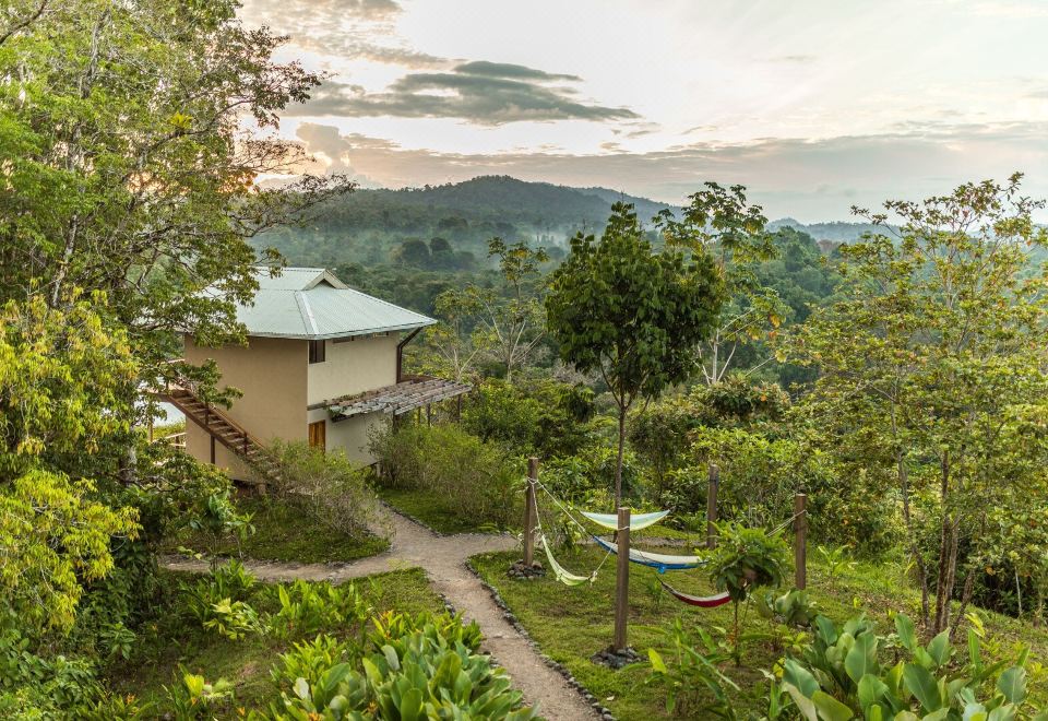 a serene landscape with a house surrounded by lush greenery and trees , creating a peaceful environment at Drake Bay Getaway Resort