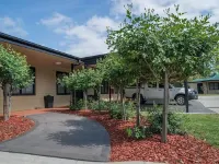 The Grapevine Motel Hotels in Denman