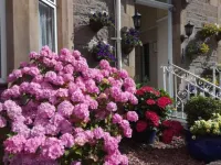 Woodlea Hotels in Perth