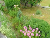 Apartments & Rooms Rendulić Hotels in Грабоваць