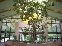 Hotel Kunitomi Annex - Vacation Stay 12075V Hotels in Itoigawa