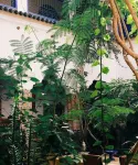 Riad Maryam Taroudant