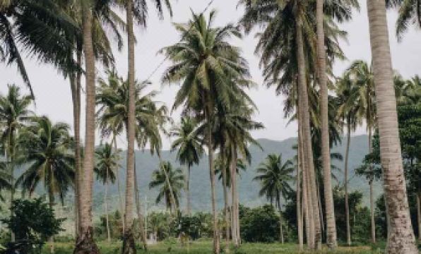 The Shores Beach Farm - Housity