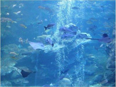 その他 サンメンバーズ京都嵯峨の写真