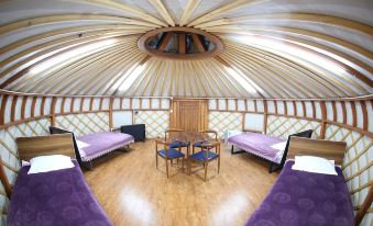 Mandala Bliss Mongolia - Housity