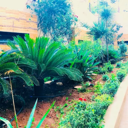 Jad Hotel Suites