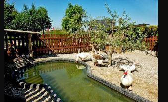 Casa Rural Cal Modest - Housity
