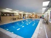 Hampton Inn Port Huron - piscina