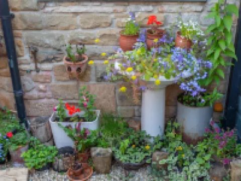 Shaftoes Guest House