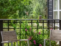 "Nele" - 400m from the Sea