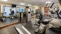 Best Western Plus OHare International South Hotel Hotels in Leyden Township