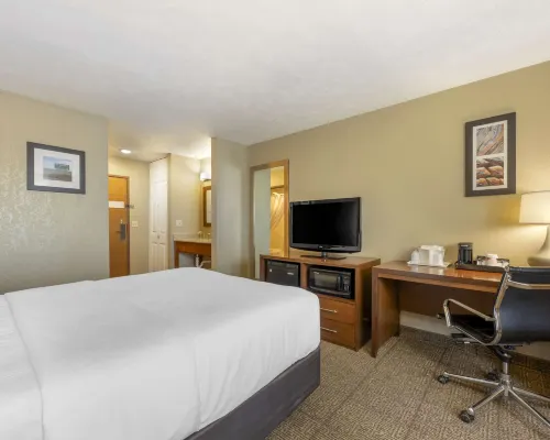 Comfort Inn Hotels in Lexington