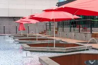 Chungchoho Best Hotel - 4-Star