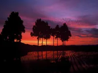 Unkai Hotels in Tokamachi