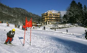 Hotel Berghof Amaranth