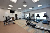 Holiday Inn Express & Suites SPRING - WOODLANDS AREA by IHG - Træningscentre