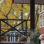 Mountain Resort Marganta Hotels in Iizuna