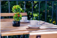 Sofia Central Luxury Apartment