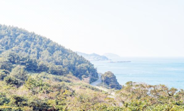 Jeju (Chuja Island) Eco Lodge