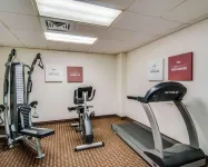 Comfort Inn & Suites Raphine - Lexington Near I-81 and I-64 - Gym