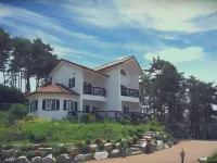 Taean (Anmyeondo) Jijunghae Pension Hotels near Gonam Shell Mound Museum
