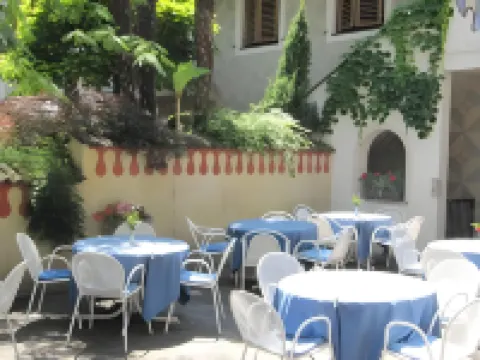 阿瑪迪斯奧拉&Amore