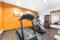 Comfort Suites Jackson I-40 - نادي رياضي