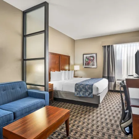Best Western Plus Greenville I-385 Inn  Suites