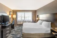 Best Western Plus North Las Vegas Inn  Suites - Jacuzzi